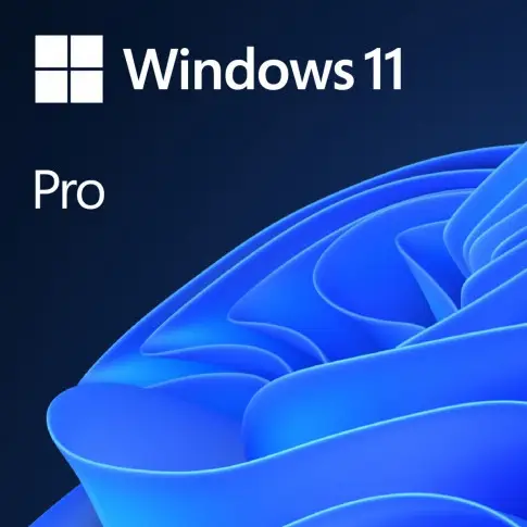 Windows Pro 11 OEM 64-bit