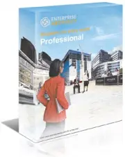 Enterprise Architect 16 Professional Edition