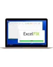 ExcelFIX 5