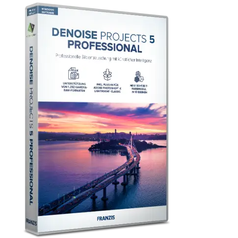 DENOISE Projects Professional 5