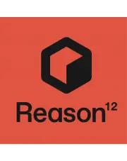 Reason 12